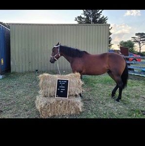 Meet your Posher, Jasmin